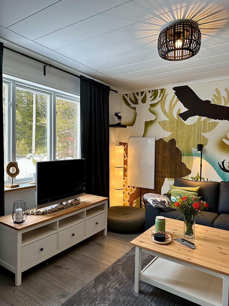 Fernseher